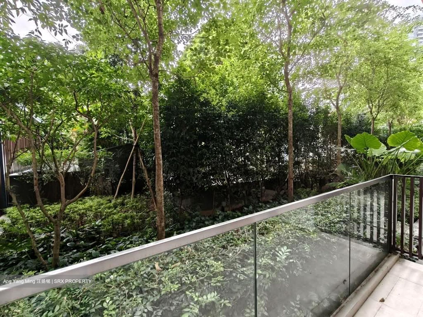 35 Gilstead (D11), Apartment #566602591